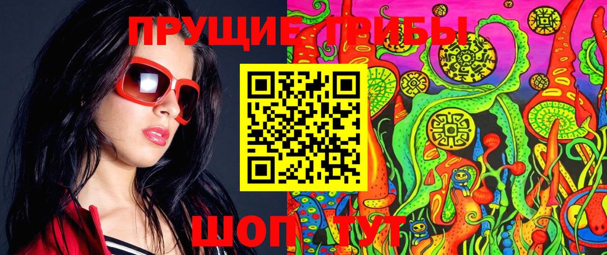 Бердск  Галлюциногенные грибы Psilocybine cubensis  Вход с VPN 
