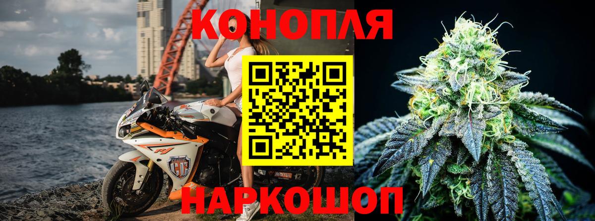 Каннабис план  МАРИХУАНА VHQ  Конопля SATIVA & INDICA  Вход с VPN  Бердск 